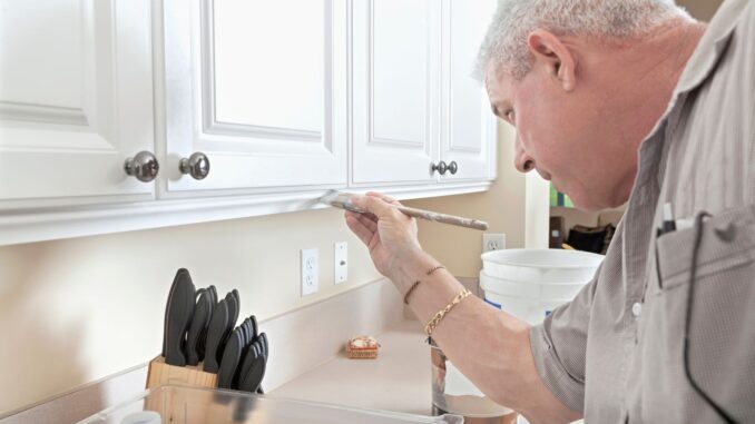 Comment trouver l'idée de peinture parfaite pour sa cuisine ?